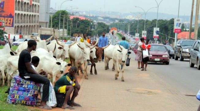 From Ghana to Ivory Coast: How herdsmen have been wreaking havoc across Africa