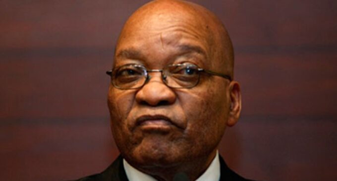 I am not afraid of going to jail, says Zuma