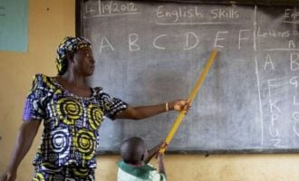 Kaduna finalises plan to replace teachers who failed primary four test