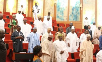 Senate charts framework for speedy AMCON debt recovery