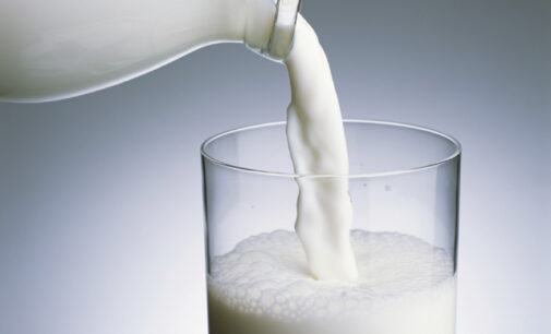 CBN seeks expedited land allocation for dairy factories in FCT