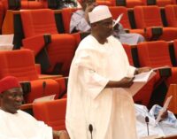 I’m interested in votes not endorsements, says Ndume