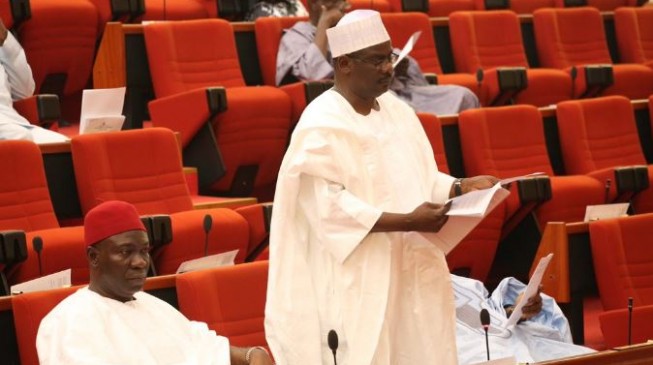 APC caucus removes Ndume as senate leader