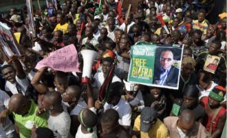 IPOB: Parable of the stubborn fly