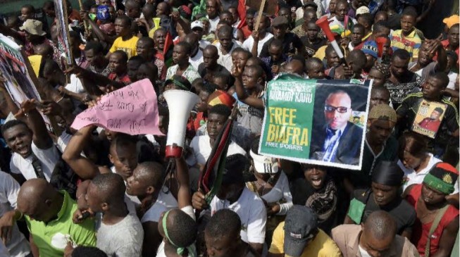 IPOB: Parable of the stubborn fly