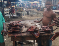 Ebola over, bush meat business booms in Lagos markets