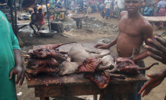 Ebola over, bush meat business booms in Lagos markets