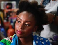 COVID-19: I get worried anytime my doctor husband leaves for work, says Chimamanda