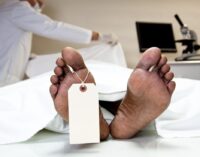 Man commits suicide after hacking his ‘happily wedded’ wife to death