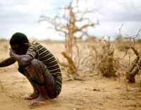 Nigeria faces ‘credible risk of famine’ in 2017