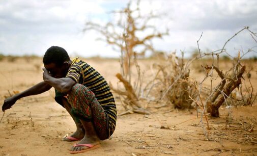 Nigeria faces ‘credible risk of famine’ in 2017