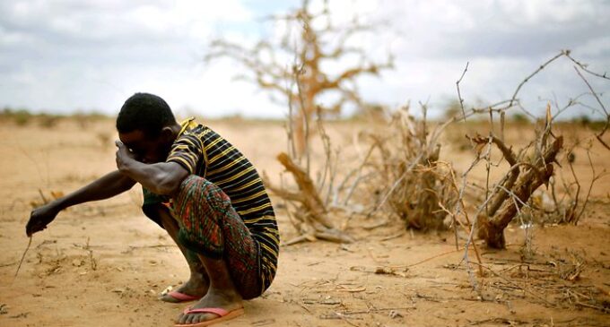 5m people ‘risk famine’ in Nigeria