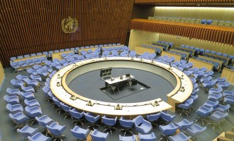 WHO COP7: Nigeria kicks against shutting journalists out