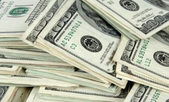 Dollar bulls back in action as Gold dips
