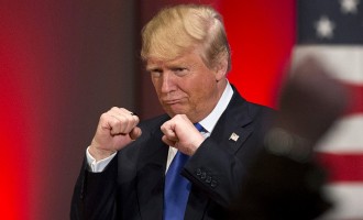 Trump can’t stop climate change action, says Ban Ki-moon