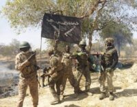 Camp Zairo is like Boko Haram’s Aso Rock, says Lai