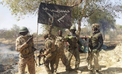 Fruitless hunt for Boko Haram
