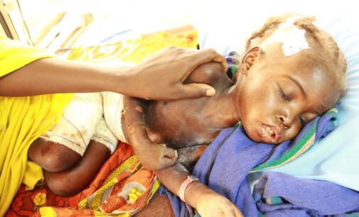 UNDERCOVER: In Borno, children are dying at IDP camps, foodstuffs are ‘disappearing’ at SEMA store