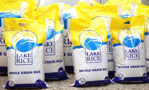 INFOGRAPHICS: Thailand’s rice export to Nigeria drops dramatically — but increases in Benin Rep