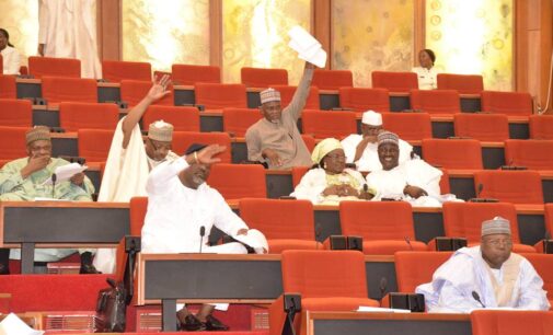 Senate proposes extra 14 days for conduct of presidential rerun elections