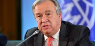 Environment Day: Antonio Guterres seeks restoration of degraded ecosystems