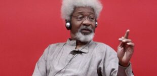 Soyinka: Trump’s conviction presents new democratic promise | I may reapply for US green card