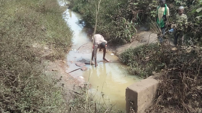 Okobo, the Kogi village where coal mining is killing the people