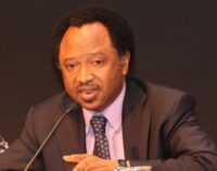 Shehu Sani: Every drop of blood shed by herdsmen stains the conscience of those in power