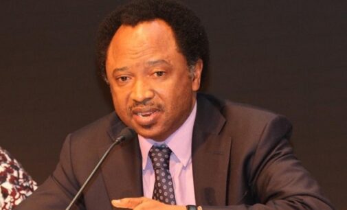 EXTRA: Shehu Sani says rodents may have eaten Osinbajo panel report on suspended SGF