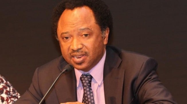 Shehu Sani: I stand with Tinubu… no automatic ticket for Buhari