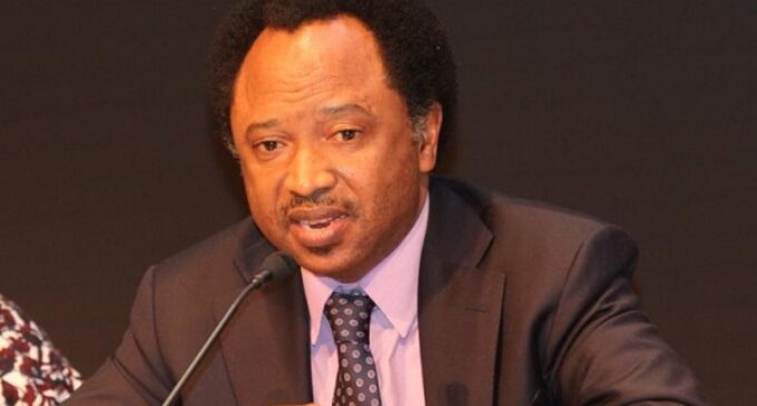 EXTRA: Buhari wants Nigerians to sleep with both eyes closed – and the DisCos are making this happen, says Shehu Sani