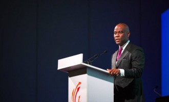 Access Bank: Interest cost limits profit at half year