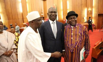 Oyegun: Removing Ndume was a necessary act