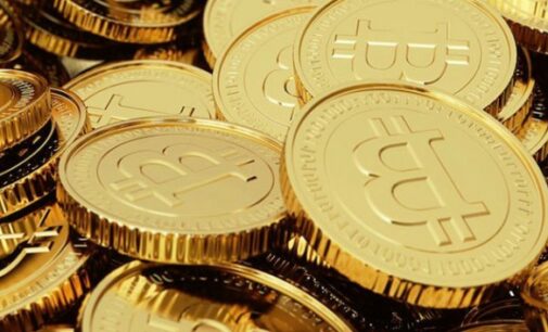 More ‘universal’ than the dollar, best performing currency…all you need to know about bitcoin