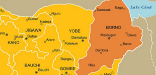 ‘10 passengers killed’ as vehicle runs into IED in Borno