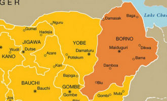 Police arrest 13 suspected criminals in Borno