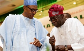 Do all you can to protect democracy, Tinubu tells Buhari