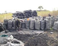 Charcoal business booms in Ondo