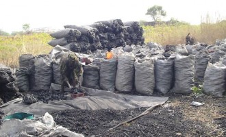 Charcoal business booms in Ondo