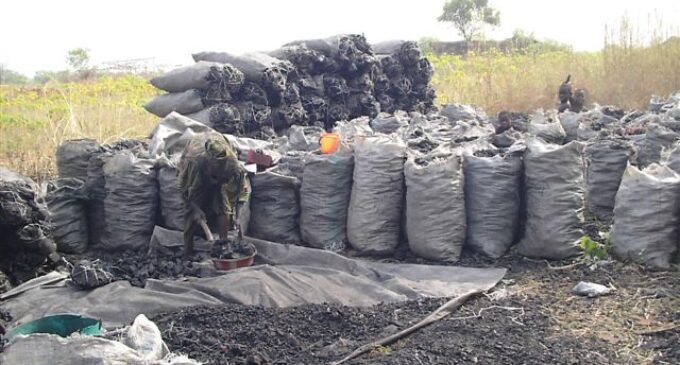 ‘Production process harmful to environment’ — Nasarawa bans use of charcoal
