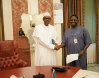 Femi Adesina on Buhari’s vacation: Even God rested on the 7th day