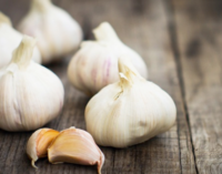 Is garlic safe to eat during pregnancy?