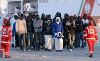 International migrants reach 258m, says UN