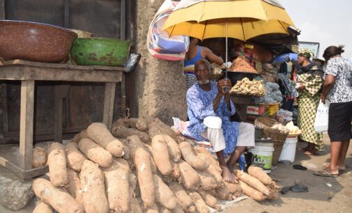 Food inflation hits two-year high as Akwa Ibom records price drop