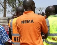 NEMA’s impactful outing in the northeast