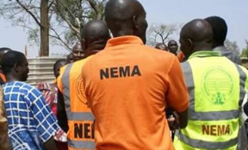 NEMA: One killed, 65 houses razed in Borno attack