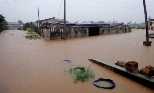 Rainstorm destroys ‘150 houses’ in Kano