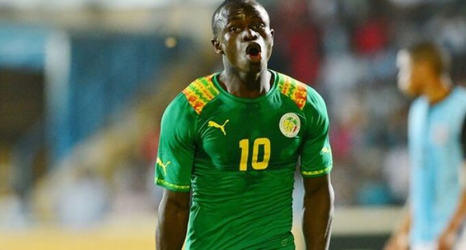 Clash of the ‘Lions’: Senegal seek revenge against Cameroon