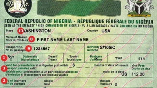 EXCLUSIVE: Why Nigeria may NOT review visa policy for Americans