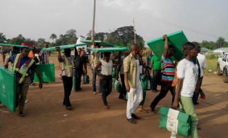 Politicians, blood oath and 2019